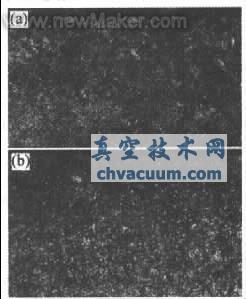 滲層光學顯微組織